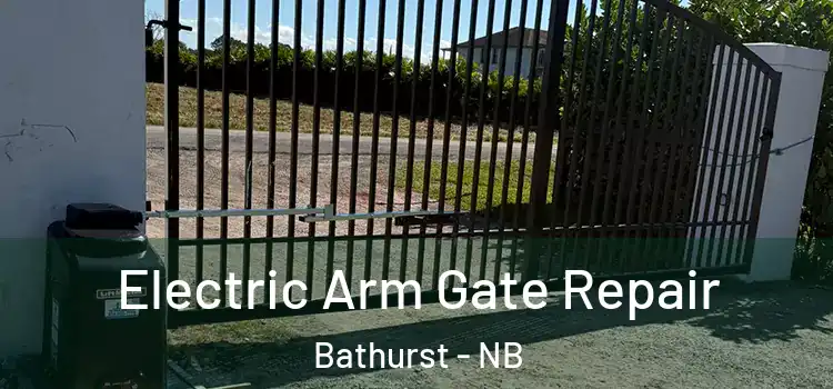  Electric Arm Gate Repair Bathurst - NB