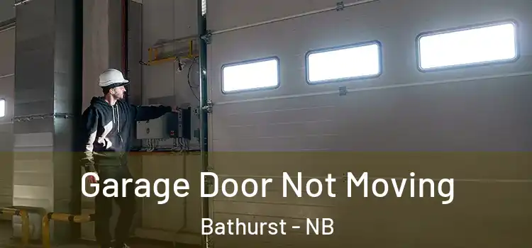  Garage Door Not Moving Bathurst - NB