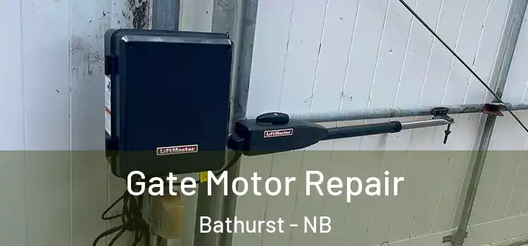 Gate Motor Repair Bathurst - NB